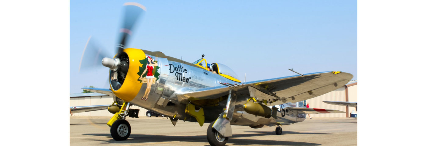 The Flight of Dottie Mae