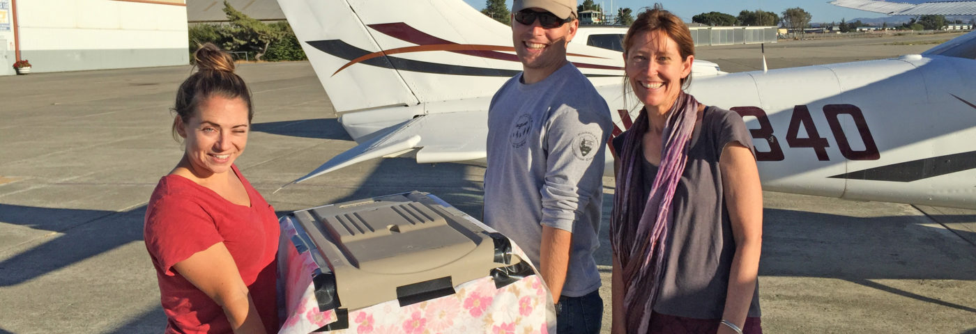 Flight of the Condors