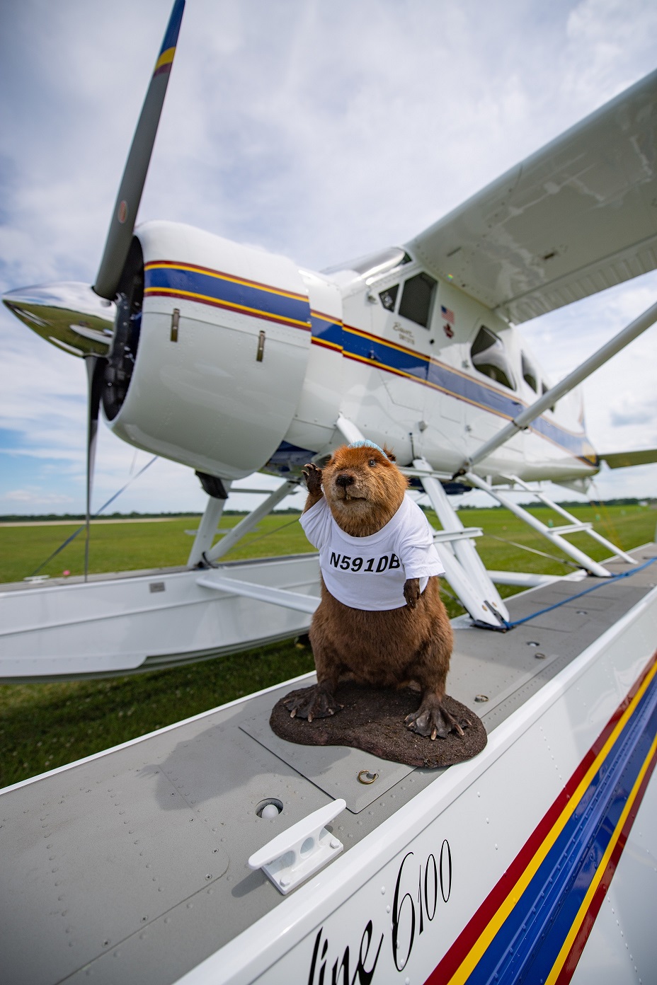 Beaver in a Box — Mark Stevens’ Like-New de Havilland – Hangar Flying