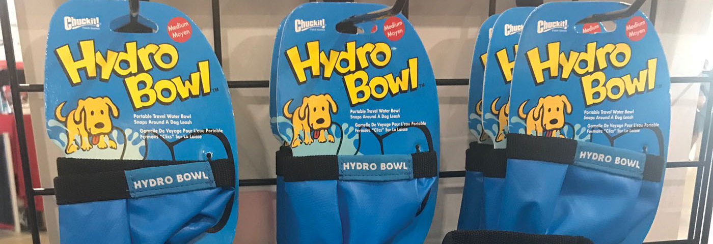 Pooch Air ⁠— 4 Paws Aviation Has Your Dog Covered