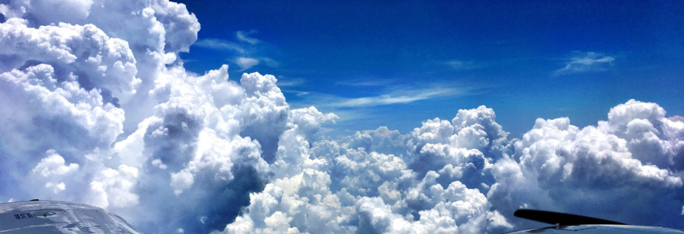 Milestone: Ray Scholar Flies First Young Eagle