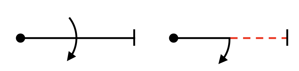 Full roll and half roll