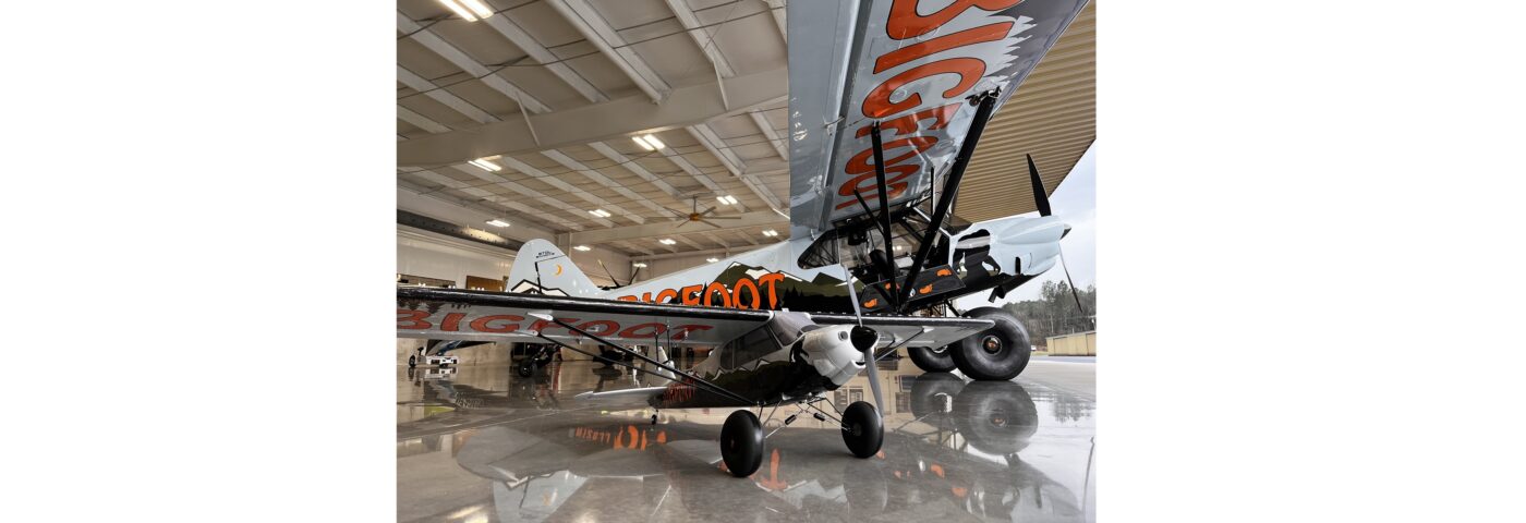 A BigFoot Replica for Christmas