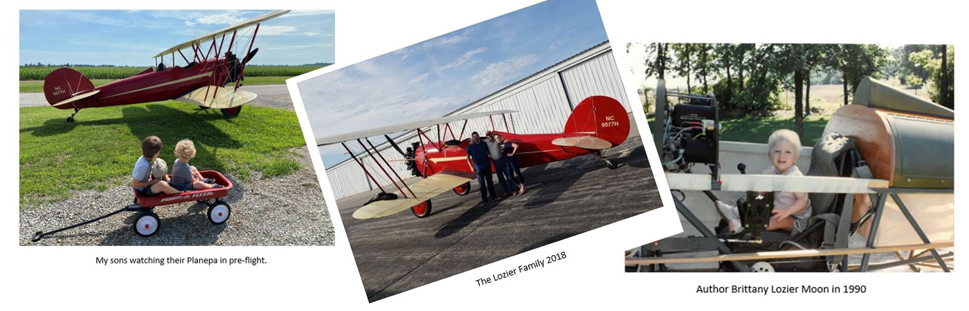 A Taperwing’s Tapestry