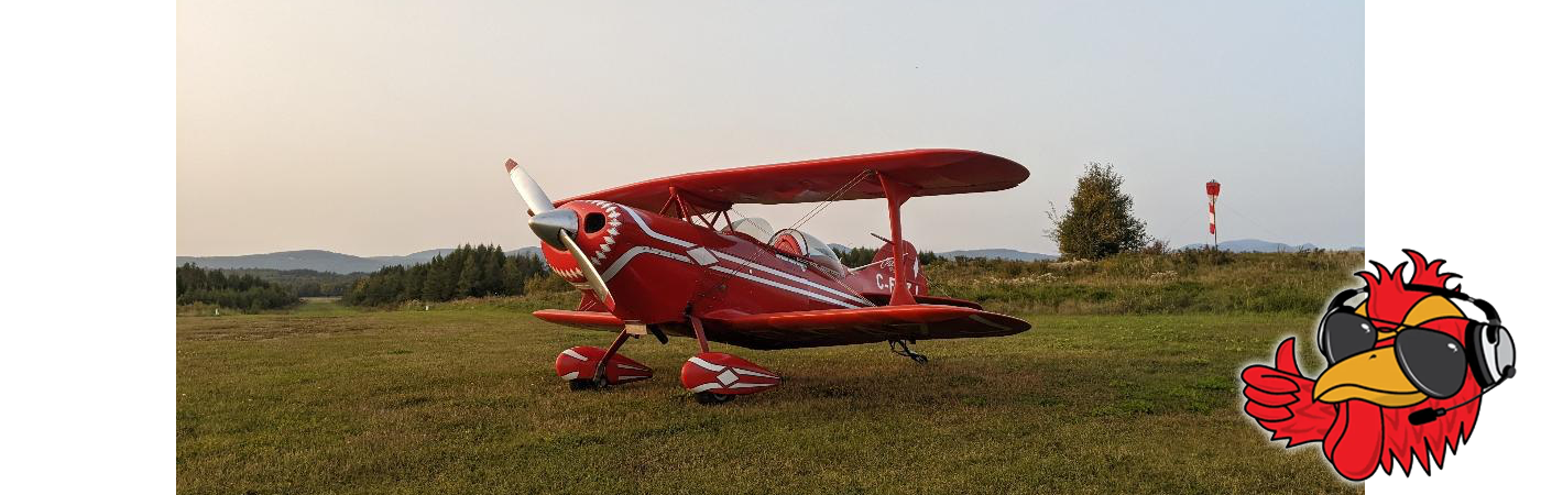 Ruffled Feathers: Close Calls — Expect the Unexpected