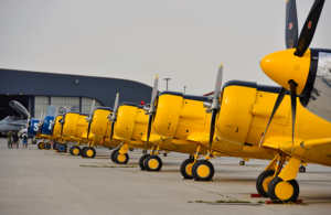 Harvard Lineup - MJ Martin