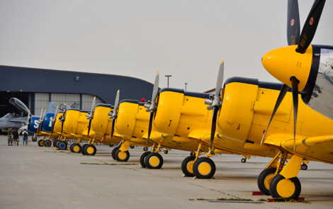 Harvard Lineup - MJ Martin