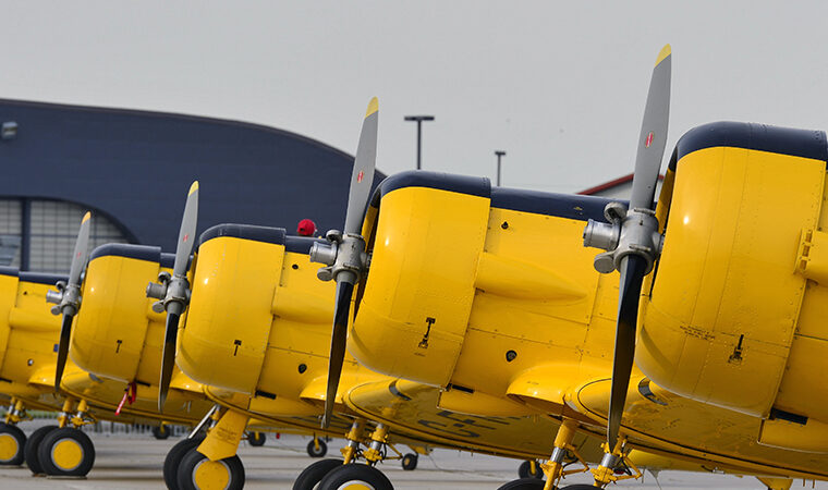 Harvard Lineup - MJ Martin