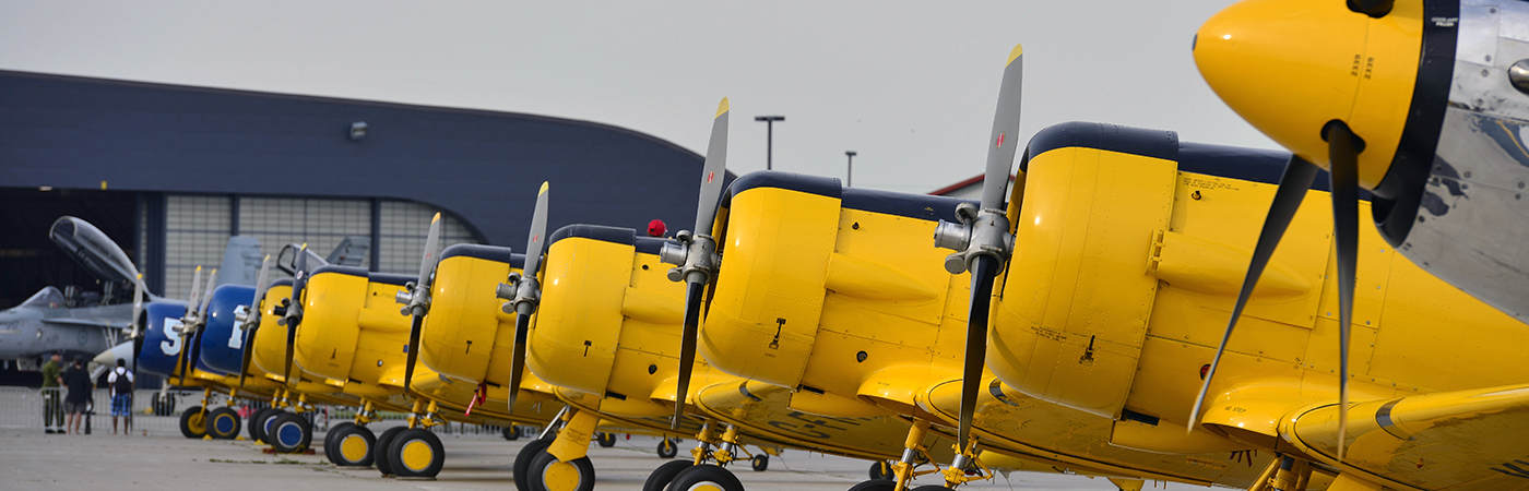 A Yellow Bird Adventure