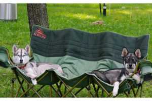 BNP 0824 MJ Martin - Cat and Dogs 7