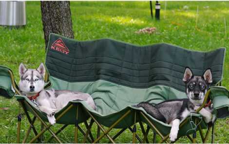 BNP 0824 MJ Martin - Cat and Dogs 7