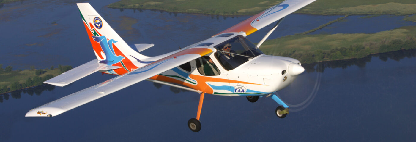 A Reluctant Young Eagle