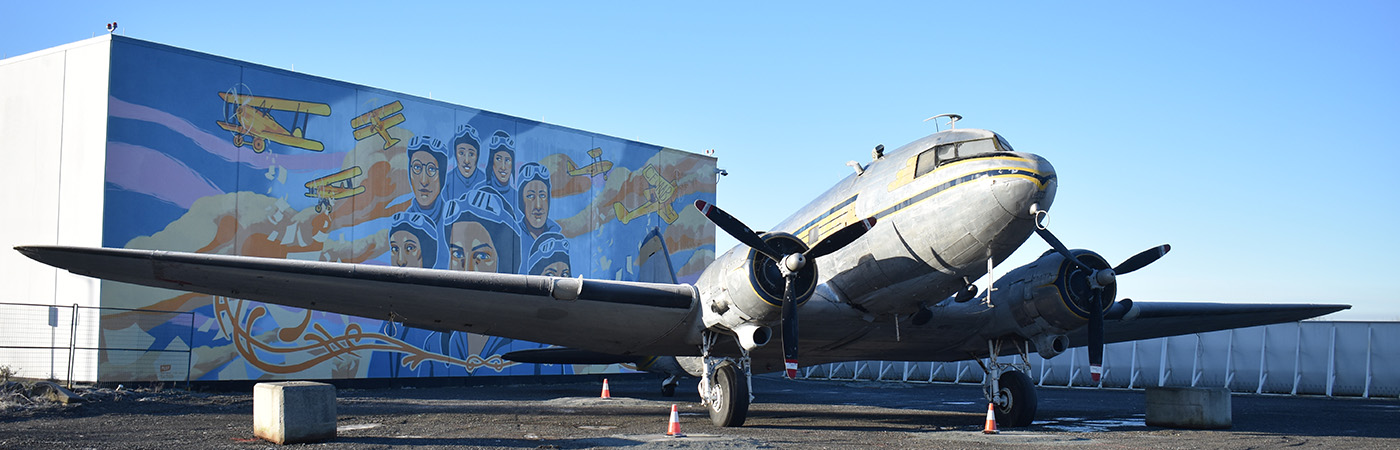 Flight of the Phoenix — Sort Of!